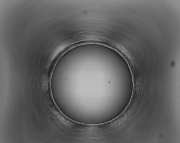 X0000094781067200711241334