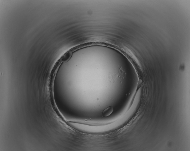 X0000094781068200711241334