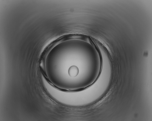 X0000094781069200711241334