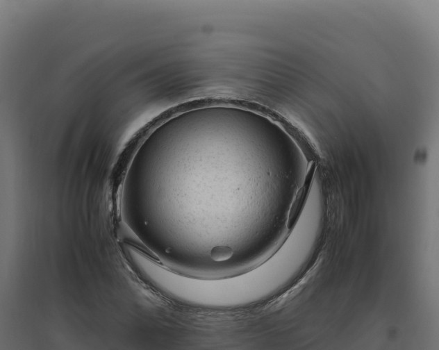 X0000094781070200711241334