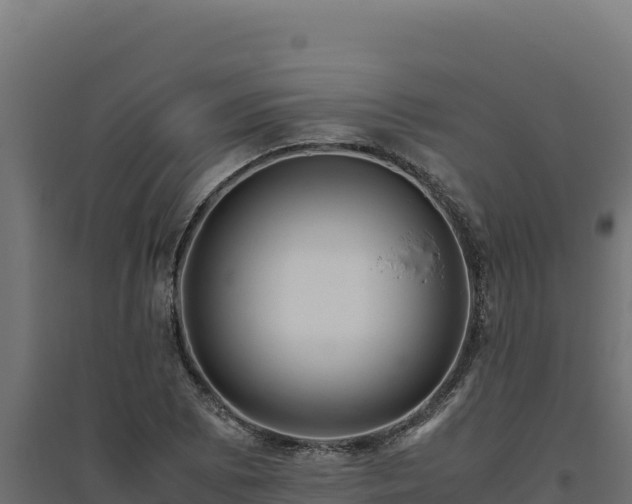 X0000094781073200711241334