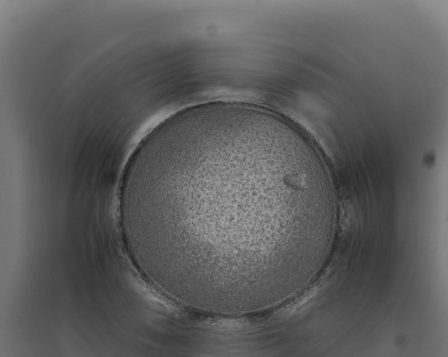 X0000094781074200711241334