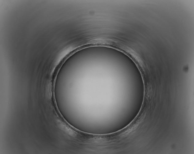 X0000094781075200711241334