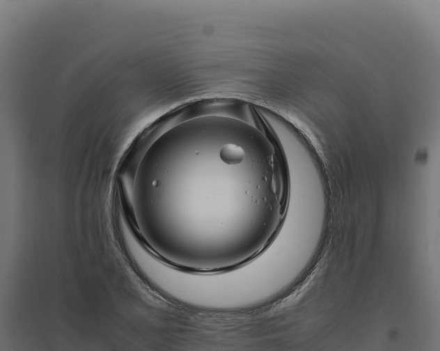 X0000094781077200711241334