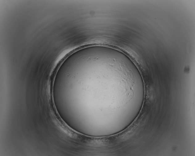X0000094781078200711241334