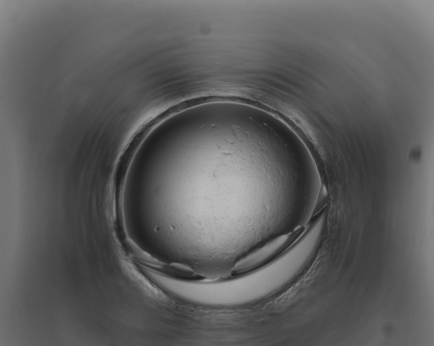 X0000094781080200711241334