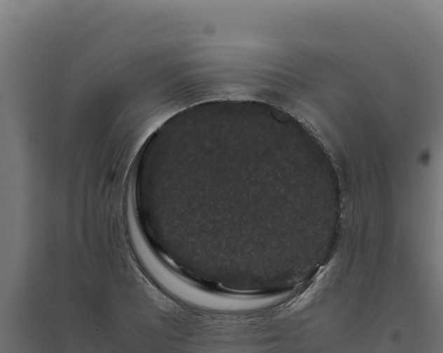X0000094781081200711241334