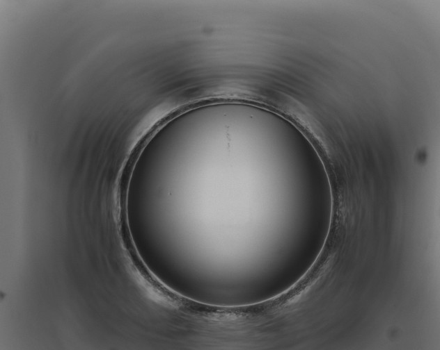 X0000094781082200711241334