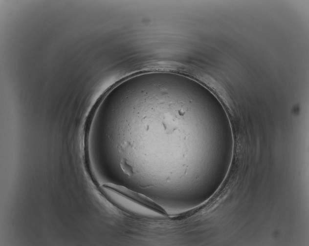 X0000094781083200711241334