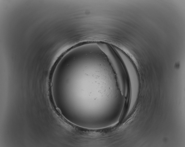 X0000094781085200711241334