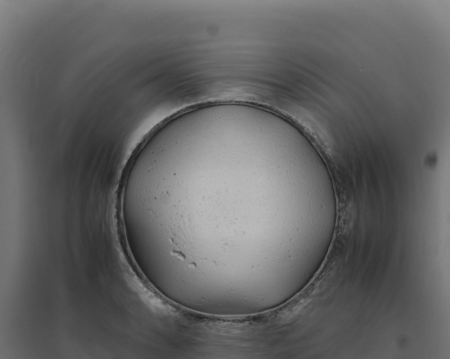 X0000094781086200711241334