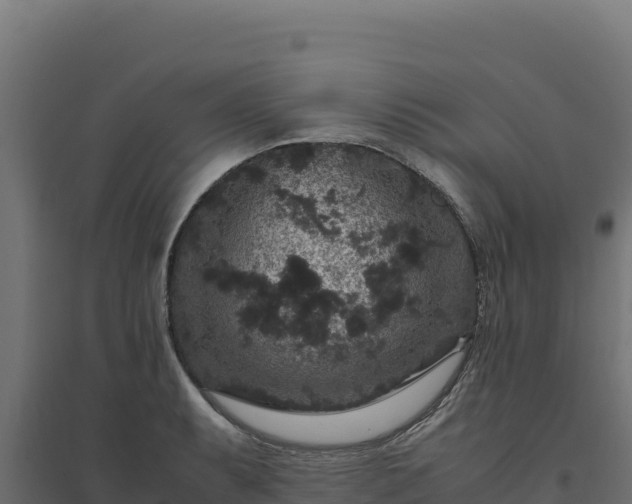X0000094781087200711241334