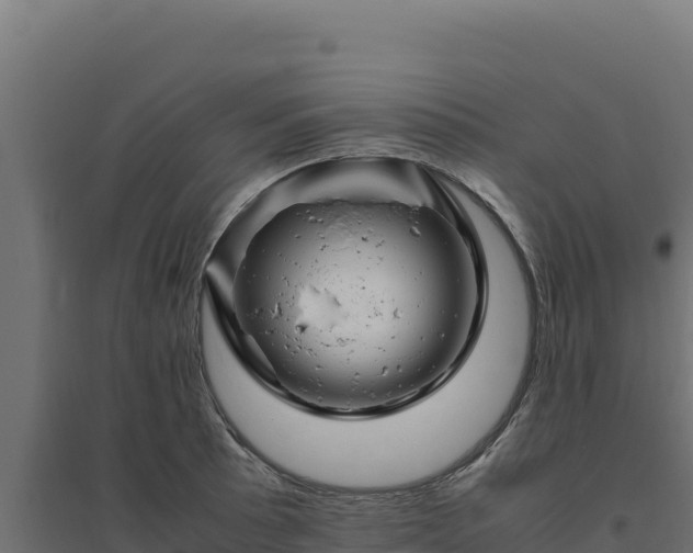 X0000094781089200711241333