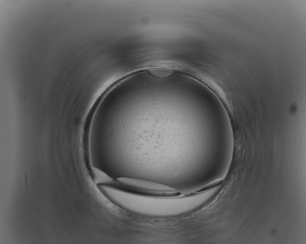 X0000094781091200711241333