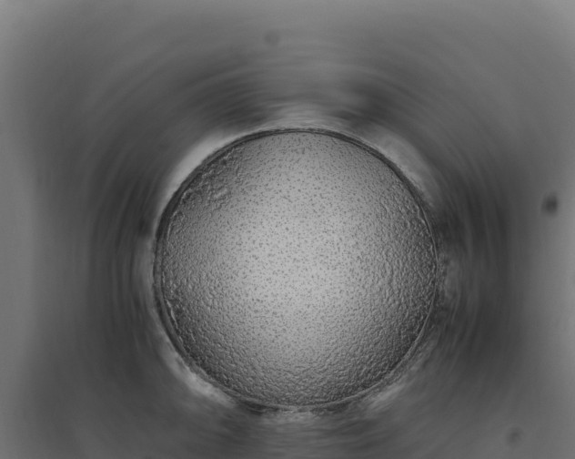 X0000094781094200711241333