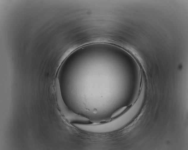 X0000094781097200711241333