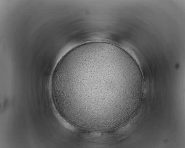 X0000094781098200711241333