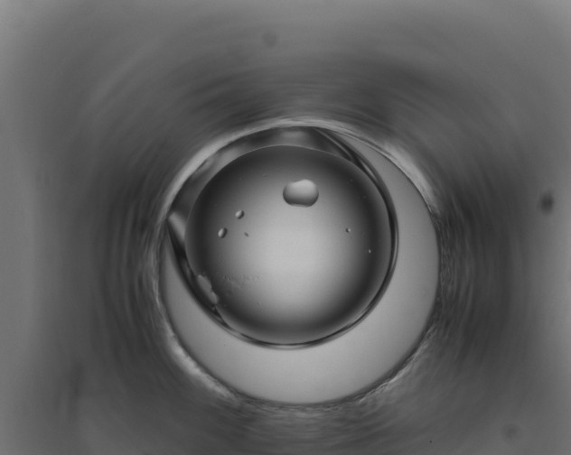 X0000094781100200711241333