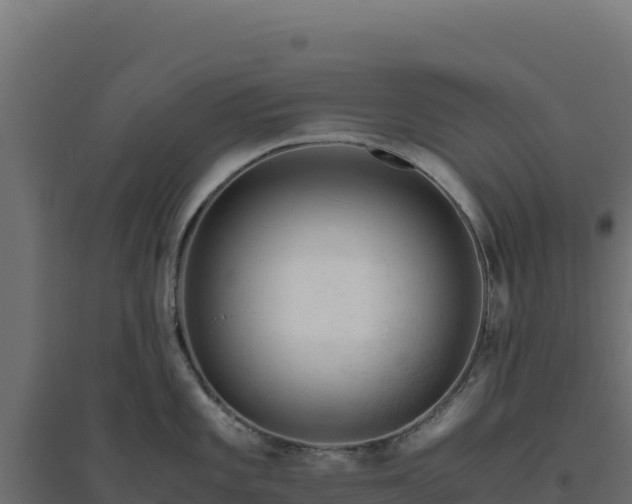 X0000094781101200711241333