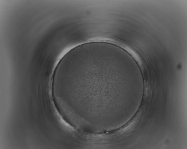 X0000094781102200711241333