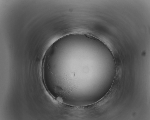 X0000094781103200711241333