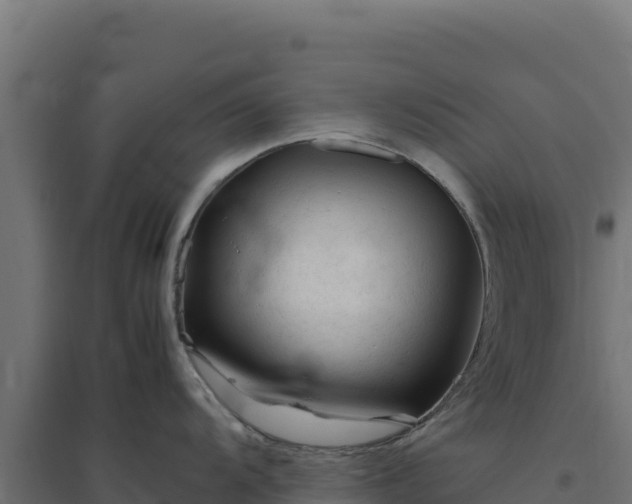 X0000094781104200711241333