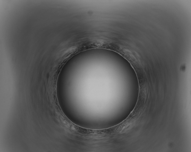 X0000094781105200711241333