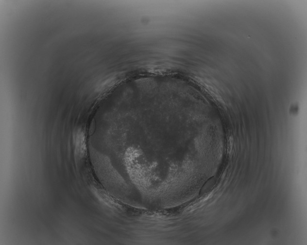 X0000094781106200711241333