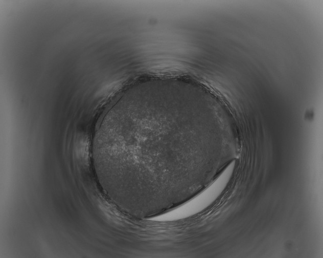 X0000094781108200711241333