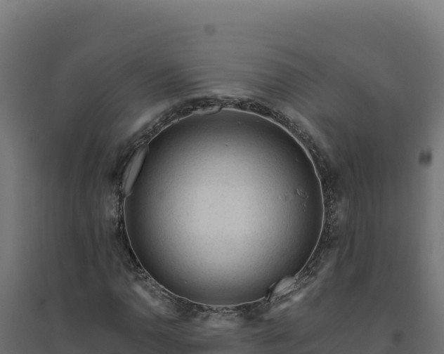X0000094781110200711241333
