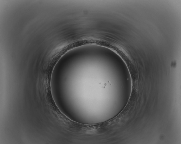 X0000094781111200711241333