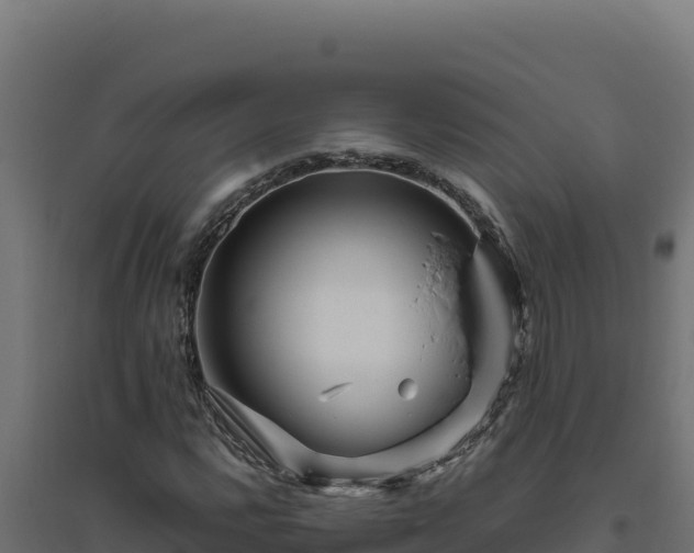 X0000094781112200711241333