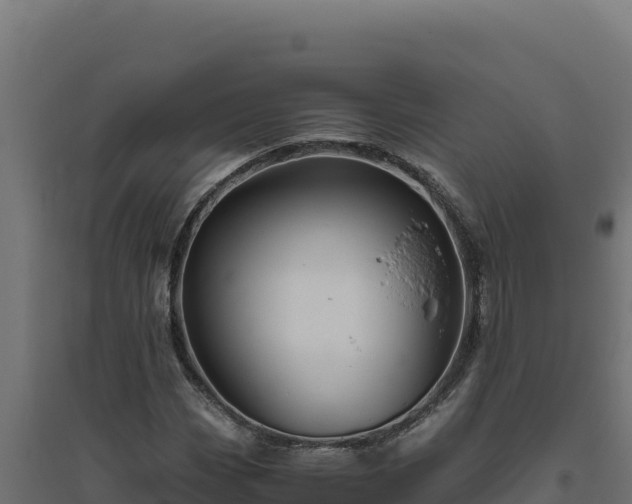 X0000094781113200711241333
