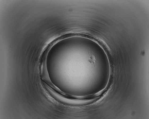 X0000094781114200711241333