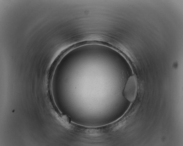X0000094781116200711241333