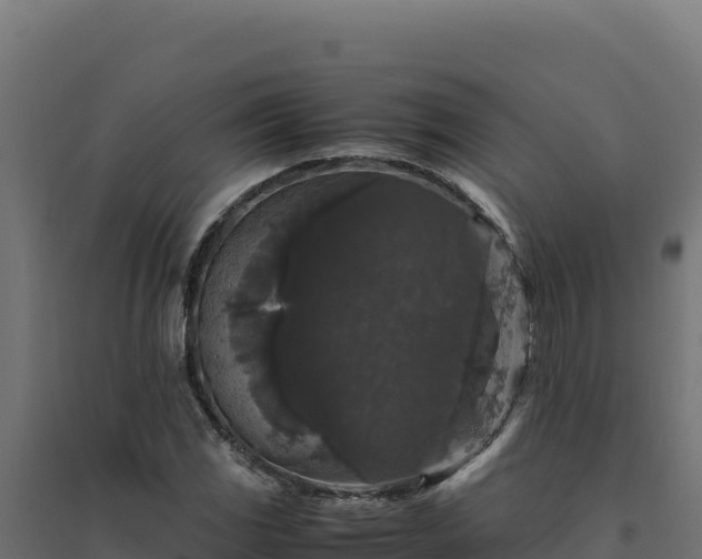 X0000094781117200711241333