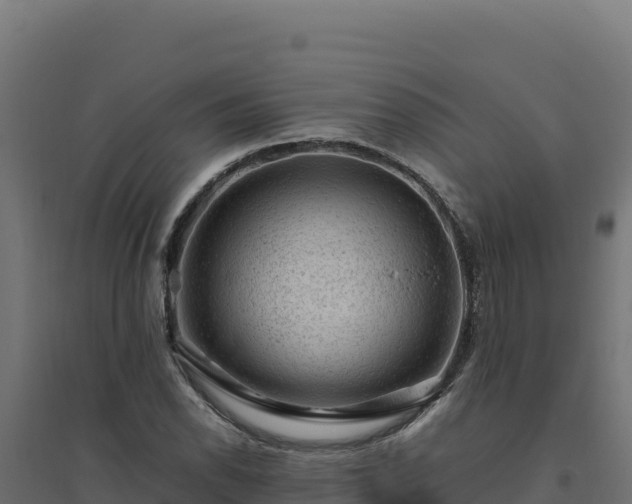 X0000094781118200711241333