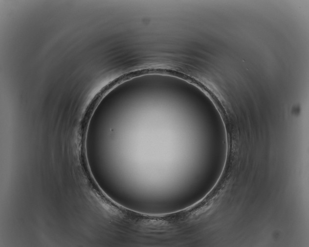 X0000094781119200711241333