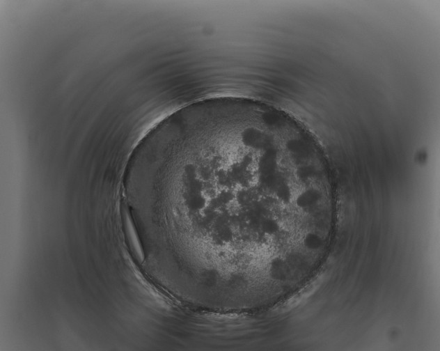 X0000094781121200711241333