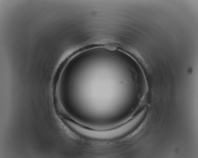 X0000094781122200711241333