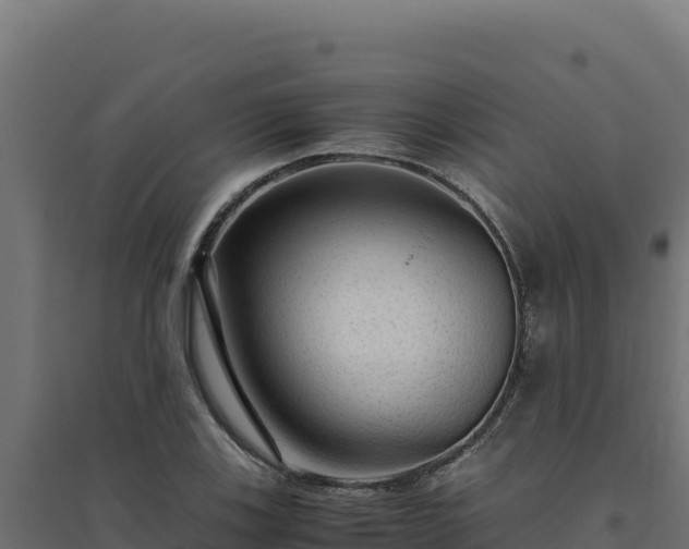 X0000094781123200711241333