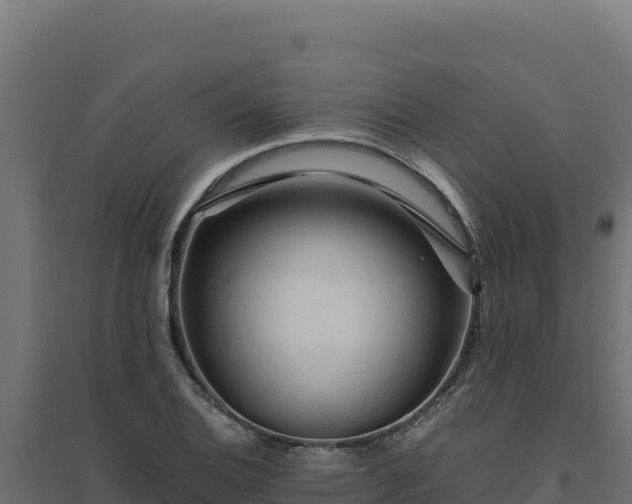 X0000094781124200711241333