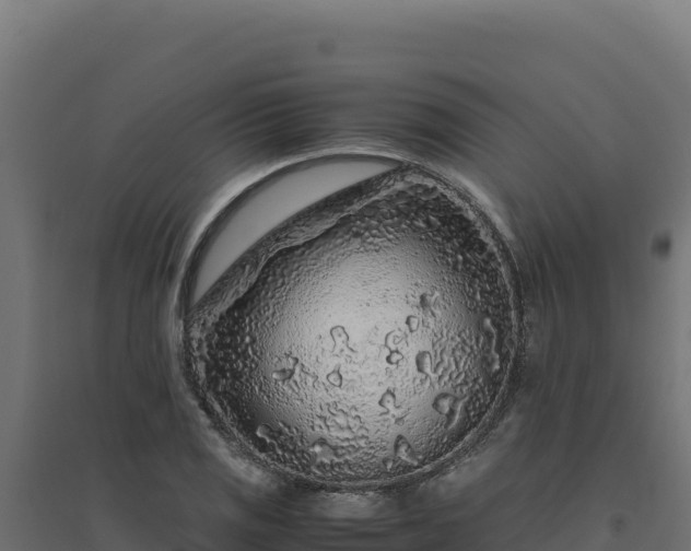 X0000094781125200711241333
