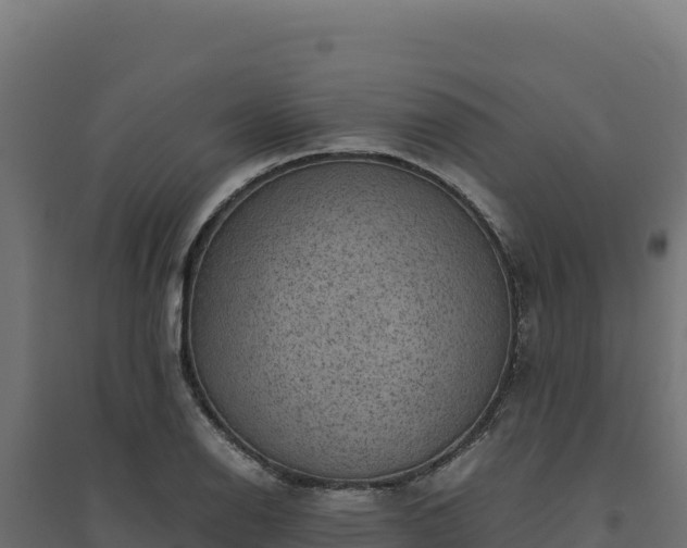 X0000094781126200711241333
