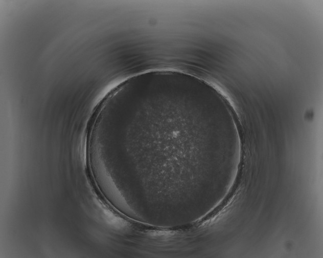 X0000094781127200711241333