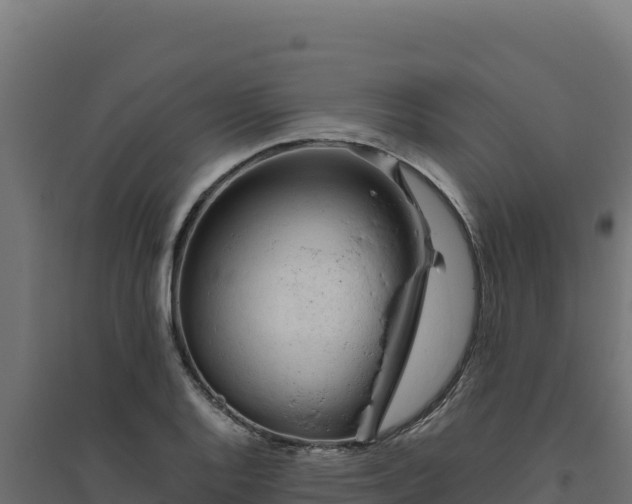 X0000094781128200711241333