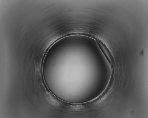 X0000094781129200711241333