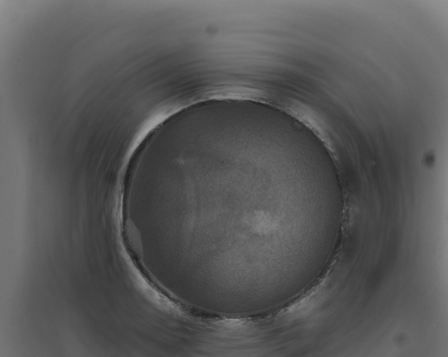 X0000094781130200711241333
