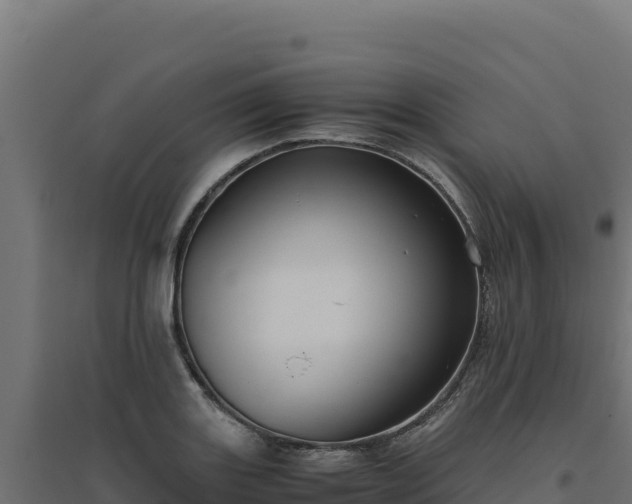 X0000094781131200711241333