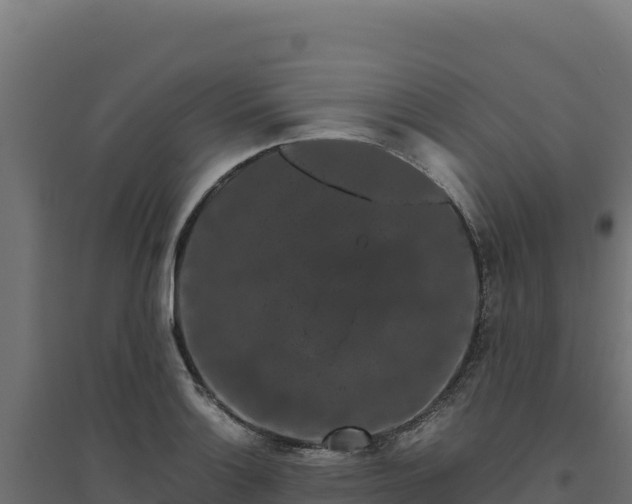 X0000094781132200711241333